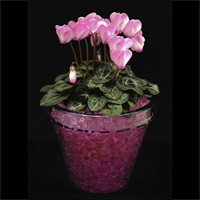 Gel rtenteur d'eau Floragel - Pot de fleur dcoratif